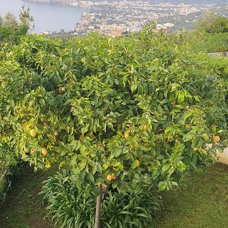 Appartement La Grande Bellezza *