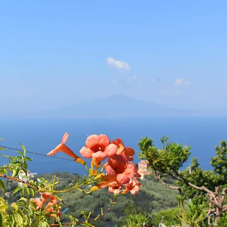 La Grande Bellezza