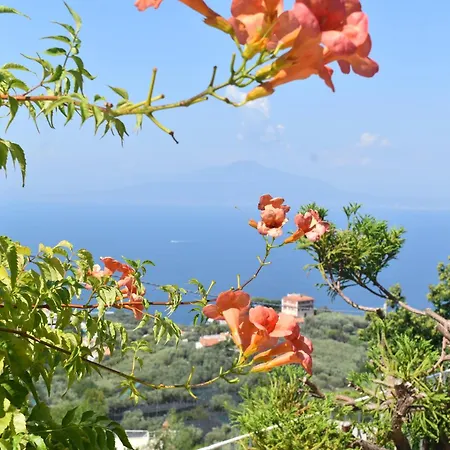 Apartamento La Grande Bellezza