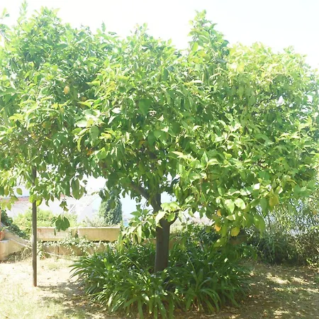 La Grande Bellezza Apartamento